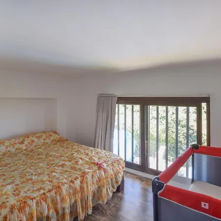 Pet Friendly In With Kitchen * Пальми